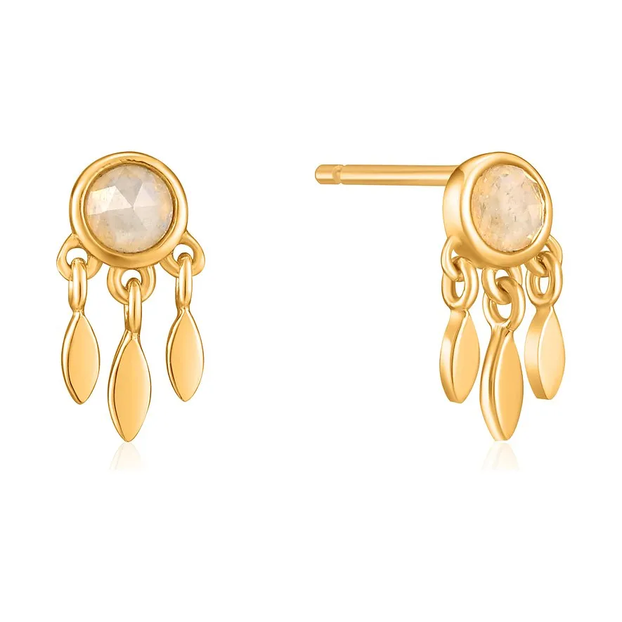 Boucles d'Oreilles - Labradorite - Ania Haie