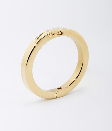 Darwin - Acier Doré - Bracelet - Zag Bijoux