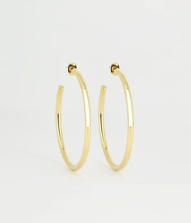 Alienora - Acier Doré - Boucles d'oreilles - Zag Bijoux