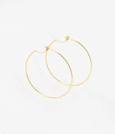 Hosta - Acier Doré - Boucles d'oreilles - Zag Bijoux