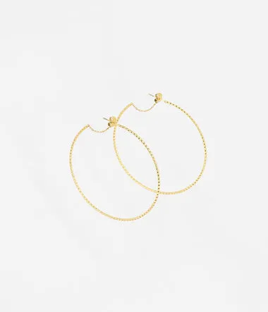 Mahonia - Acier Doré - Boucles d'oreilles - Zag Bijoux