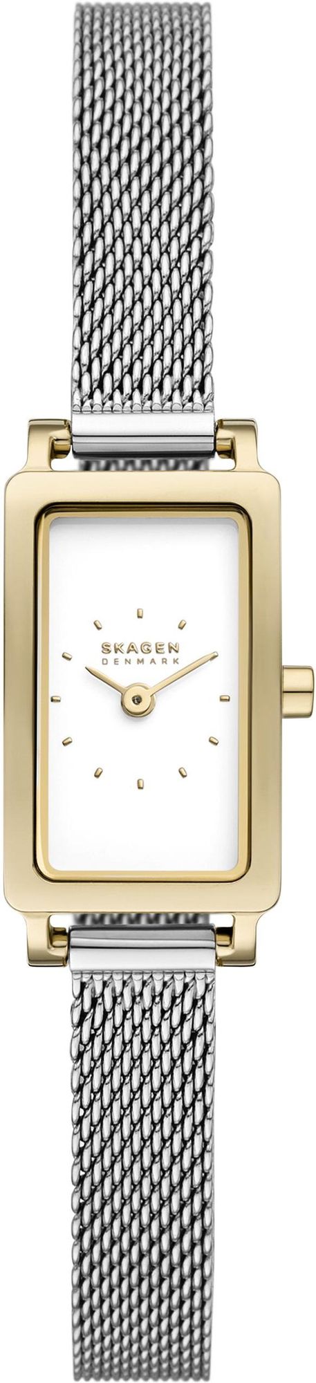 Skagen HAGEN SKW3147 Montre Bracelet pour femmes