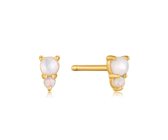 ANIA HAIE Clous d'oreille Rising Star E034-02G