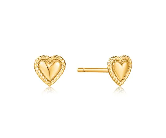 ANIA HAIE Clous d'oreille Ropes & Drems E036-02G