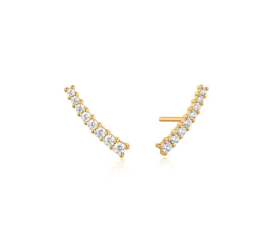 ANIA HAIE Clous d'oreille Glam Rock E037-03G